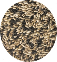 Goldfinch Bird Seed Mix