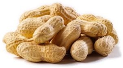 Peanuts in the Shell