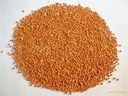 Millet Bird Seed (Red and White)