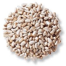 Safflower Bird Seed