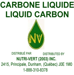 Liquid Carbon